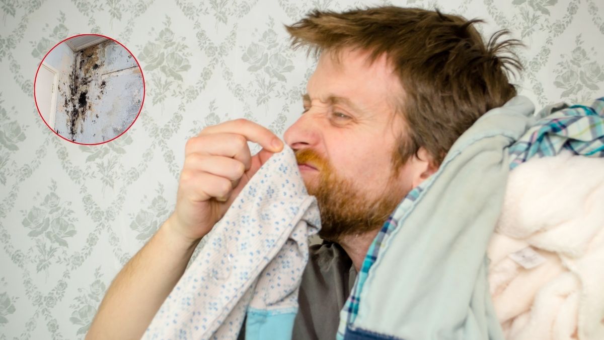 I tuoi vestiti meritano un nuovo inizio. Come rimuovere l'odore dello stampo dai vestiti